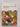 New Zealand dictionary of biology by John Child, Peter Child