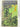 Standard common names for weeds in New Zealand by Nz Weed & Pest Control Society
