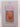 The peach groves by Barbara Hanrahan