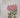 Plants of the bible by A W. Anderson