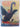 Print Books - Digit Dick in blackswan land by Leslie Rees - Book Express