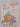 Print Books - The Gigantic Balloon by Ruth Park - Book Express