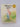 Print Books - Where is Jack? (Sunshine books) by Clare Scott - Book Express
