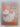 Print Books - The mouse bride by Joy Cowley - Book Express