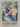 Print Books - Magda's Flower (A Denise book) by Denise Ford - Book Express