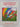 A rainbow in the forest (Patterns in nature) by Andrew Crowe