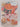 Print Books - Perfit seal home preserving by Susan Baker - Book Express