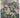The Cook's Herb Garden by Mary Browne, Helen Leach, Nancy Tichborne