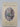 Print Books - New Zealand bird portraits by M F. Soper - Book Express