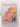 Print Books - Rebeccas babies by Jenny Hessell - Book Express