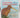 Favourite New Zealand Animal Stories-A New Zealand golden Book by Golden Press