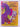 Print Books - Family favourites.Hukanui Kindergarten by Judy Clarke (editor) - Book Express