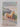 Pageant from the foothills by E Mary Gurney