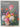 The illustrated flower by E Blair  Chewning