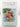 Naturalised birds of the world by Christopher Lever
