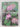 Hellebores a comprehensive guide by C Colston Burrell,J N. Tyler