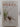 Spiders. The Australian naturalist library. by Barbara York Main