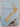 Atlas of bird distribution in New Zealand 1999-2004 by C J. Robertson et al