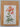 P J Redoute Lilies and related flowers by Brian (Text) Mathew