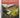 Bush Vitality a Visual Assessment Kit Managing the Seasons for the Years by Helmut J. Janssen