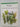 Herbs for cooking by R Phillips,M. Rix