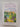 A Spanish lover by Joanna Trollope