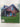 New green home solutions. Rrenewable household energy and sustainable living. by D Bonta,S. Snyder