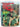 The Encyclopedia Of NZ Rugby by R. H. Chester,N.A.C. McMillan