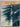 White Wings: Immigrant Ships To New Zealand, 1840-1902 by Henry Brett,Cyril R. Bradwell