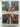 Tropical & subtropical trees. An encyclopedia by Margaret Barwick