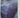 World of wearable art  WOW 2018 by unknown