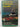 Focus on the Falkland Islands by Margaret Stewart Taylor