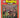 DB rugby annual 1983 by Bob Howitt (editor)