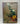 Flower Arrangement: The Ikebana Way by William C. Steere