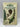 Common Ferns and Fern Allies in New Zealand by R.J. Chinnock