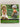 The Things Kids Say by Alicat,Alicat Publishing Staff