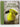 Recipe Journal Large Pears - O/P by Trading Alicat