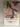 The Woman He Loved Before by Dorothy Koomson
