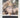 Fall of the Roman Republic (Penguin Classics) by Plutarch, Robin Seager, Rex Warner