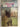 Mansfield Park by Jane Austen