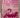 The Pink Glass Swan: Selected Essays on Feminist Art by Lucy R. Lippard