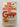 The World According to Garp by John Irving