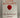 The Husband's Secret by Liane Moriarty
