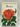 Roses: a concise guide in colour by Ludvík Večeřa