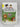I Wonder who lives in the Zoo (The Pre School Collection) by Carol Sawyer