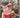 Silver Jubilee Year: A Complete Pictorial Record by Serge Lemoine