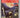 The Women Who Won the War by Vera Lynn, Robin Cross, Jenny de Gex