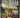 The Total Deer Hunter Manual: 301 Hunting Skills You Need by Scott Bestul, David Hurteau