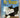 Mr Muggs the library cat by Dave Gunson