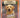 Danny the Guide Dog by Jill Coleman
